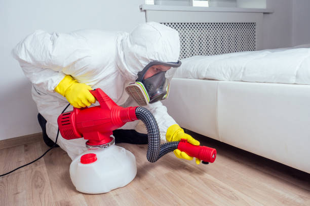 Best Bed Bug Extermination  in Elmwood Park, IL